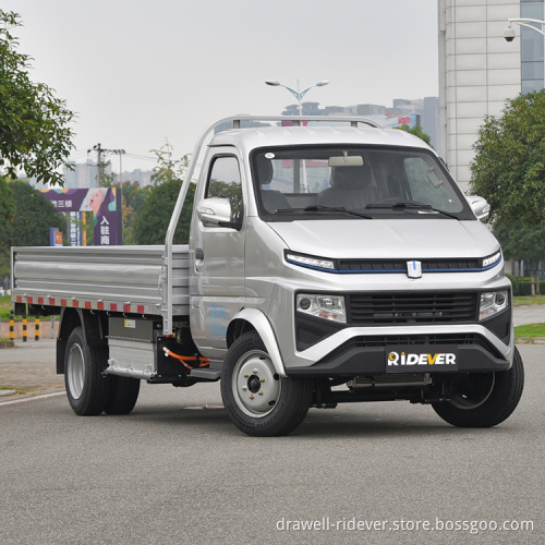 Ridever Electric Van Fence Cart Latest Hot Design Pure Electric Cargo Delivery Van